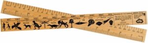 Natural History Ruler