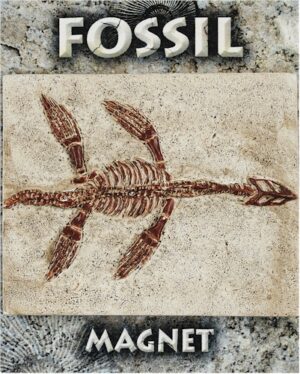 Plesiosaur Fossil Magnet